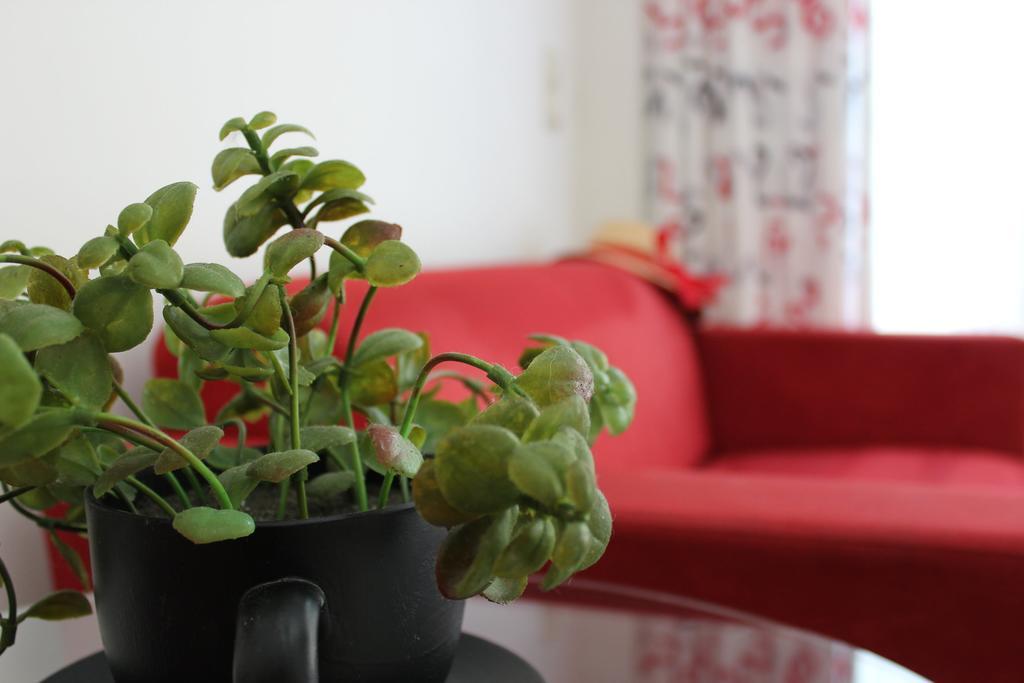 Filmar Hotel, Ixia, Rhodes エクステリア 写真